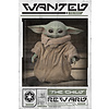 Star Wars The Mandalorian Wanted The Child - Maxi Poster