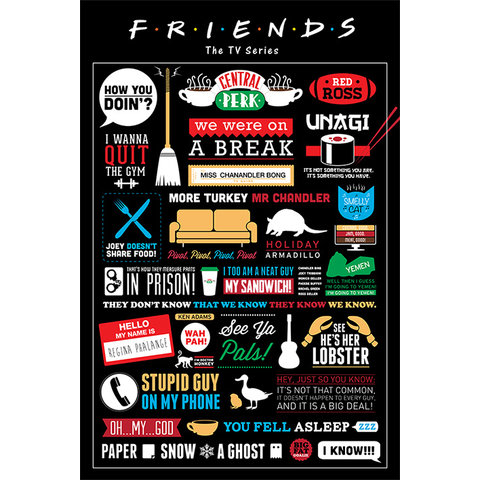 Friends Infographic - Maxi Poster