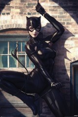 Produits associés au mot-clé catwoman poster