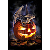 Anne Stokes Trick Or Treat - Maxi Poster