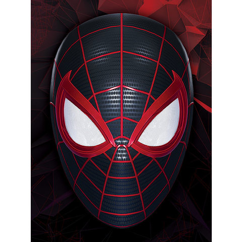 Spider-Man Miles Morales The Mask Of A Hero - Canvas 30x40cm