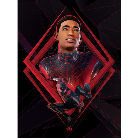 Spider-Man Miles Morales Be Greater - Impression sur Toile 60x80cm