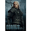 The Witcher Geralt Of Rivia - Maxi Poster