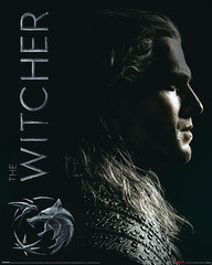 Produits associés au mot-clé the witcher poster