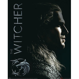 The Witcher Shadows Embrace - Mini Poster