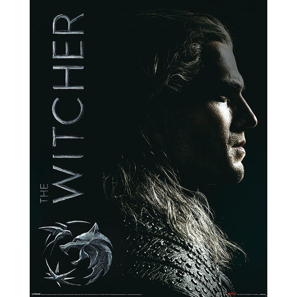 The Witcher Shadows Embrace - Mini Poster