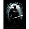 The Witcher Lair Of The Beast Affiche Encadrée