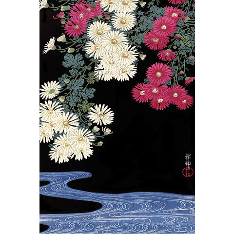 Ohara Koson Chrysanthemum and Running Water - Maxi Poster