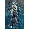 The Witcher Ciri The Swallow - Maxi Poster