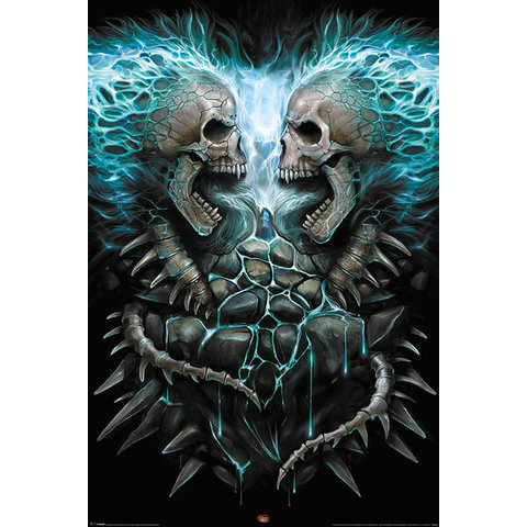Spiral Flaming Spine - Maxi Poster