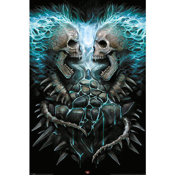 Spiral Flaming Spine - Maxi Poster