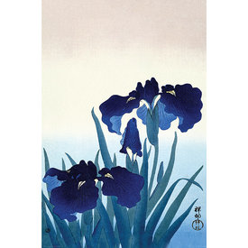 Ohara Koson Iris Flowers - Maxi Poster