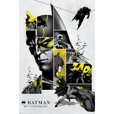 Batman 80th Anniversary - Maxi Poster