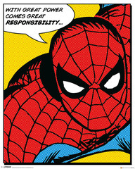 Produits associés au mot-clé spider-man mini poster