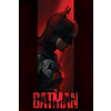 The Batman Out Of The Shadows - Maxi Poster