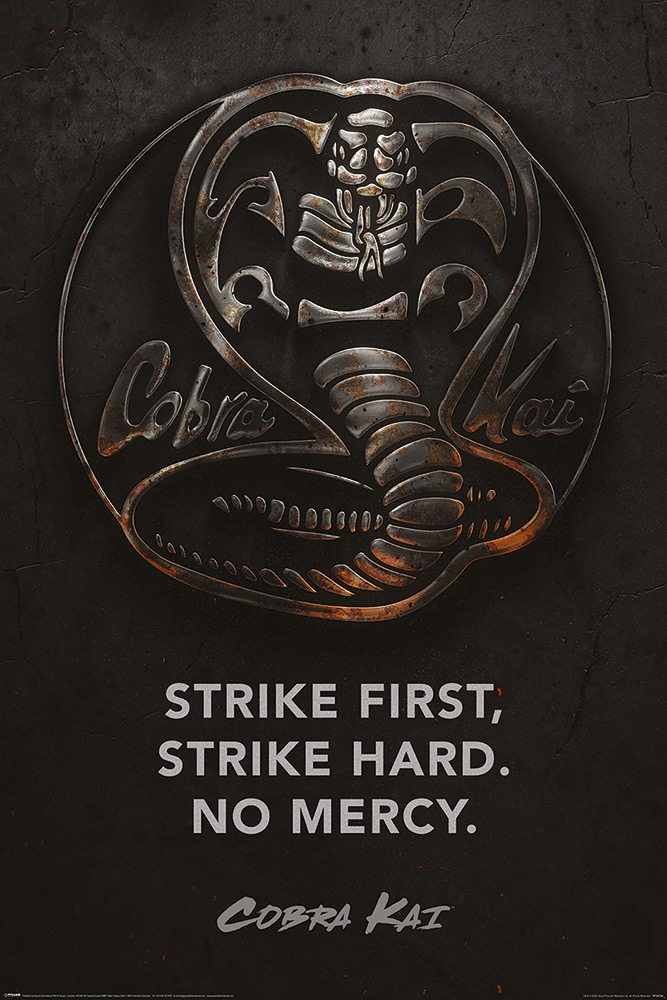 Cobra Kai Metal - Maxi Poster Hole in the Wall Hole in the Wall
