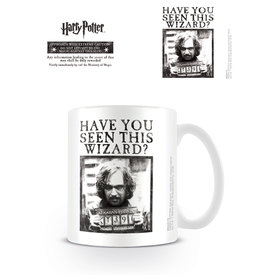 Harry Potter Wanted - Mok