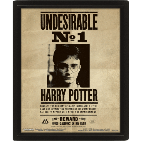 Harry Potter Potter/Sirius - Affiche 3D Encadrée