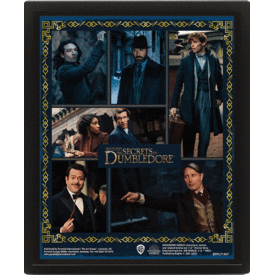 Fantastic Beasts And The Secrets Of Dumbledore Characters - Framed 3D Poster