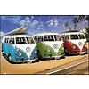 Volkswagen Californian Campers - Maxi Poster