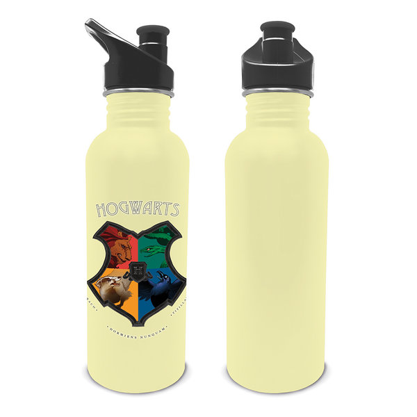 Harry Potter Metal Water Bottle Slytherin - Planet Fantasy