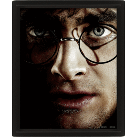 Harry Potter vs Voldemort - Affiche 3D Encadrée