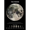 The Moon Phases - Maxi Poster