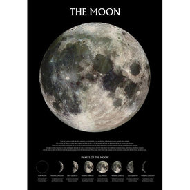 The Moon Phases - Maxi Poster