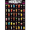 Mixology - Maxi Poster