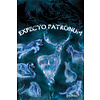 Harry Potter Patronus - Maxi Poster