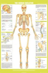 Producten getagd met biologie poster