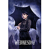 Mercredi Downpour - Maxi Poster