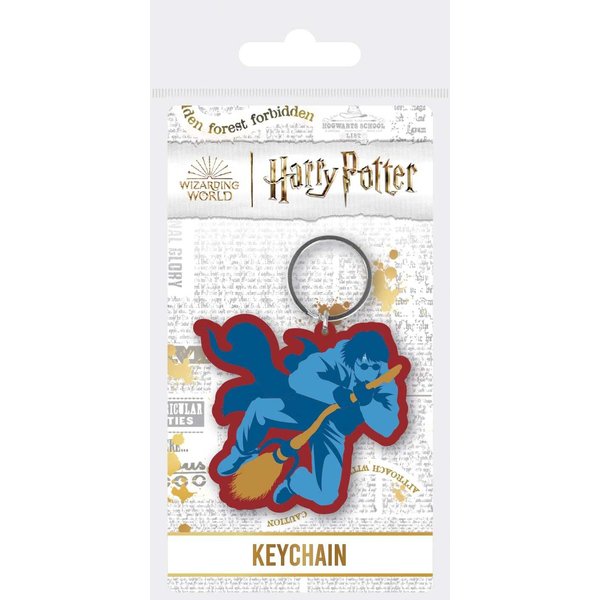 Harry Potter Checkmate Harry Broom - Keyring