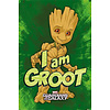 Guardians Of The Galaxy I Am Groot- Maxi Poster