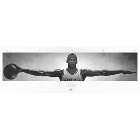 Michael Jordan Wings - Door Poster