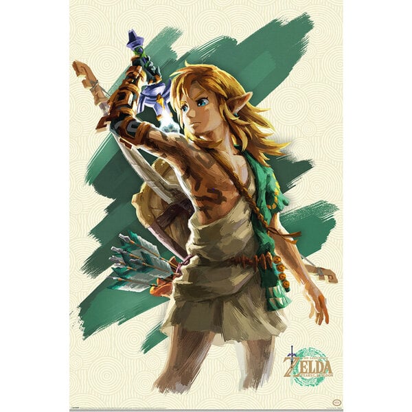 The Legend Of Zelda Tears Of The Kingdom Link - Maxi Poster