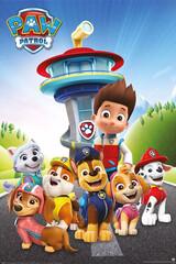 Products tagged with paw patrol for retail