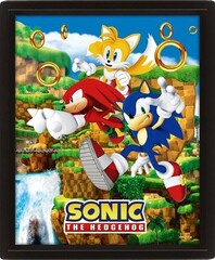 Products tagged with sonic the hedgehog framed