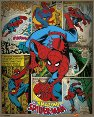 Produits associés au mot-clé spider-man mini poster