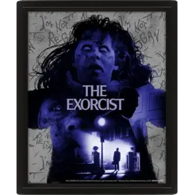 The Exorcist Exorcism - Affiche 3D Encadrée