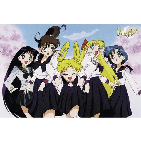Sailor Moon Group - Maxi PosterXL