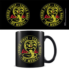 Products tagged with cobra kai netflix