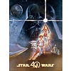 Star Wars 40th Anniversary New Hope - Art Print