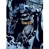 DC Comics Batman Prowl - Art Print