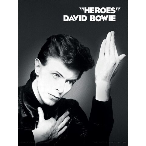 David Bowie Heroes - Art Print