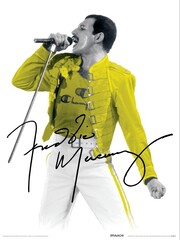 Products tagged with freddy mercury poster