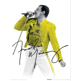 Queen Freddy Mercury Yellow - Art Print