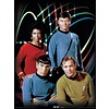 Star Trek Kirk, Spock, Uhura & Bones - Art Print