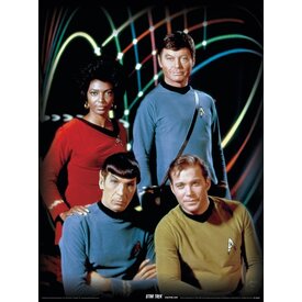 Star Trek Kirk, Spock, Uhura & Bones - Art Print