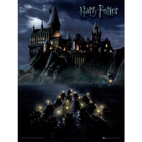 Harry Potter Hogwarts School - Art Print